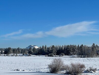 Great Meadow View w Snow