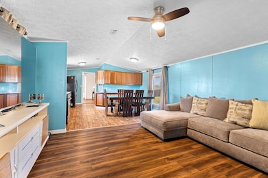 Living area featuring light wood-style flooring, vaulted ceiling, a textured ceiling, and ceiling fan