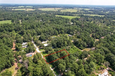 TBD Mossyknoll Dr, Plantersville, TX 77363 - photo 4