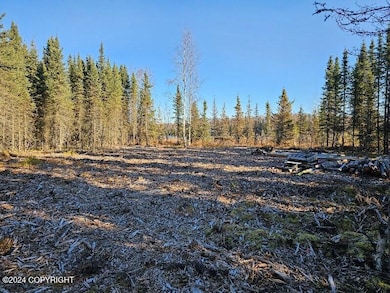 L3 Erlwein Cir, Sterling, AK 99669 - photo 7