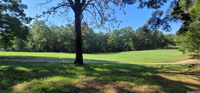 Lot 11 Birchbrook - Eden Isle, Heber Springs, AR 72543 - photo 4