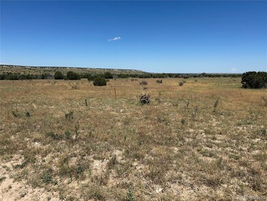 Lot 17 Longhorn Ranch unit 17, Model, CO 81059 - photo 3