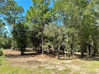 3190 N Chameleon Point, Crystal River, FL 34428 - photo 4