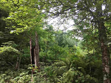 652 Rake Factory, Barnet, VT 05821 - photo 6