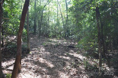Lot 9 Galax Ln unit 9, Brevard, NC 28712 - photo 5