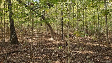 10.98 Acres Genito Rd, Amelia Ct Hse, VA 23002 - photo 6