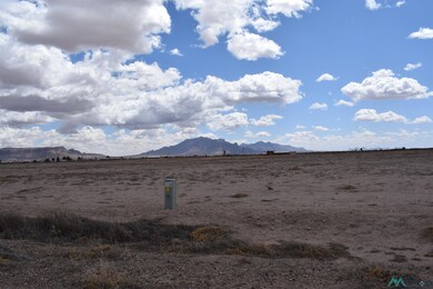 XXXX Angus Rd Se Block 4 Lot 6, Deming, NM 88030 - photo 3