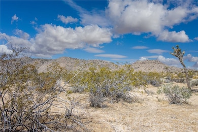 4444 Skyline Dr, Joshua Tree, CA 92252 - photo 4