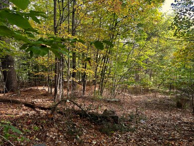 0 Father Rasle Rd, Norridgewock, ME 04957 - photo 7