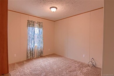 50 Ramona Dr, Leicester, NC 28748 - photo 4