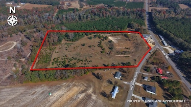 84 McCallister Rd, Slocomb, AL 36375 - photo 3