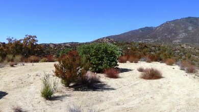 37245 Old Forest Rd, Anza, CA 92539 - photo 4