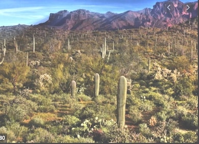 $400 Per Month Miningclaim Ownership, Queen Valley, AZ 85118 - photo 7