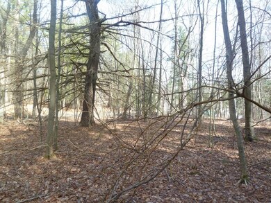 167 West Rd, Bernardston, MA 01337 - photo 5