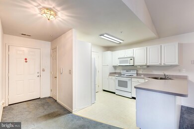 2013 Rudy Serra Dr unit 3B, Sykesville, MD 21784 - photo 5