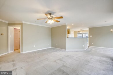 2504 Shelley Cir unit 4-2D, Frederick, MD 21702 - photo 3