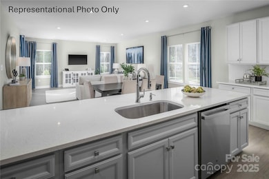 1018 Black Bear Rd unit 3253, Indian Trail, NC 28079 - photo 5