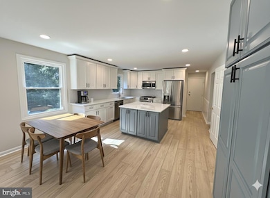 11313 French Horn Ln, Reston, VA 20191 - photo 6