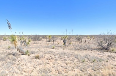 Quarter Horse Run, Sierra Blanca, TX 79851 - photo 3