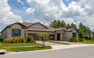 10125 Campanula Ct, Land O' Lakes, FL 34637 - photo 2