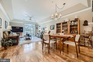 7305 Brookview Rd unit 104, Elkridge, MD 21075 - photo 4