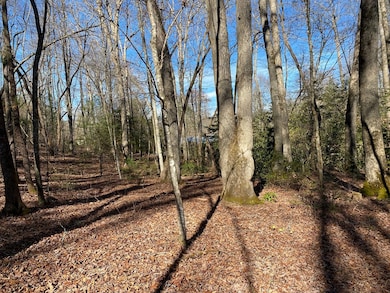 TBD Collett Woods Trail, Andrews, NC 28901 - photo 5