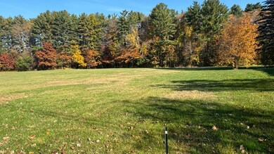 IMG_3879