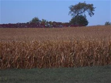 Lot 3 King Rd, Brooklyn, WI 53521 - photo 7