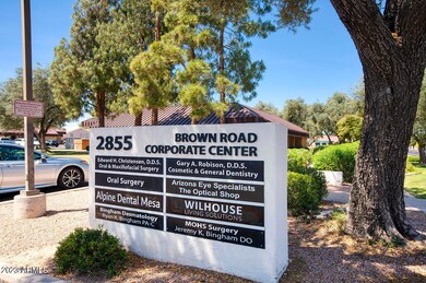 brown_01