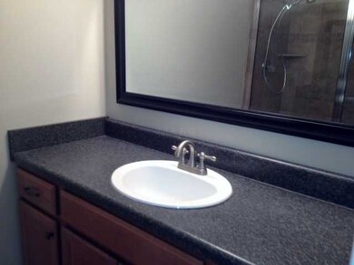 Master bath with new vanity, sink, faucet, mirror 