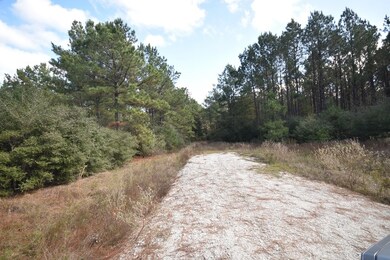 0 Bo Brown Rd unit 8177366, Trinity, TX 75862 - photo 3