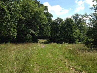 20933 Private Road 2009, Aurora, MO 65605 - photo 2