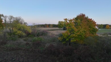 V/L Cypress Ave, Sand Lake, MI 49343 - photo 4