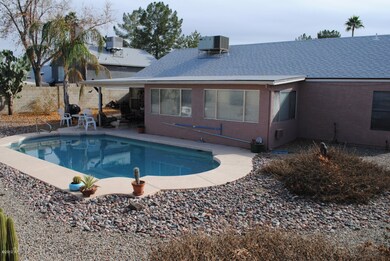 Backyard 1