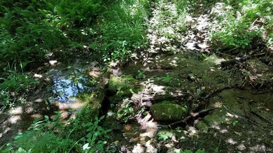 0 White Rd unit 4853123, Readsboro, VT 05350 - photo 7