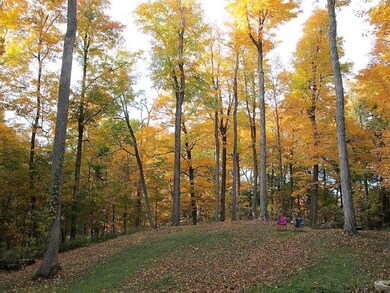 IMG-3695