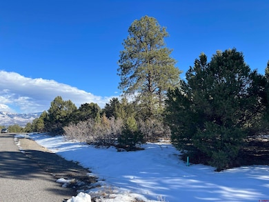 TBD Cottontail Ln, Ridgway, CO 81432 - photo 4