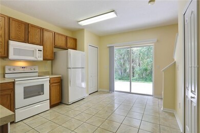 15805 Fishhawk Falls Dr, Lithia, FL 33547 - photo 7