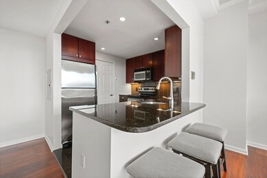 169 Monsignor Obrien Hwy unit 816, Cambridge, MA 02141 - photo 6