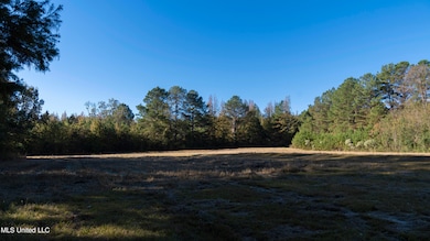 16098 Emory Rd, West, MS 39192 - photo 3