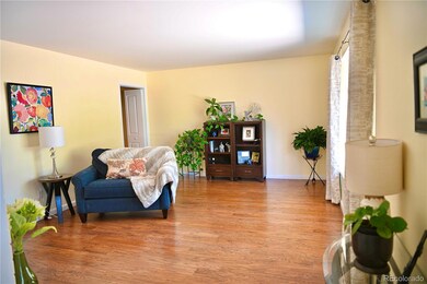 Large Living Space- Think of How You Could Use Thi