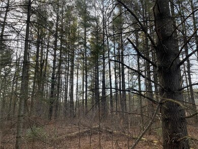 0 Old 14 Rd, Glen Flora, WI 54526 - photo 3