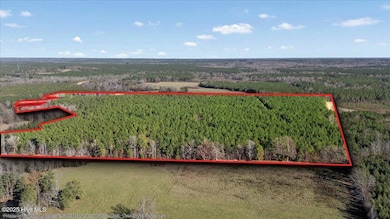 35895 N Carolina 561, Hollister, NC 27844 - photo 4