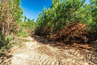 Parcel 4 Dora Barber, Tylertown, MS 39667 - photo 6