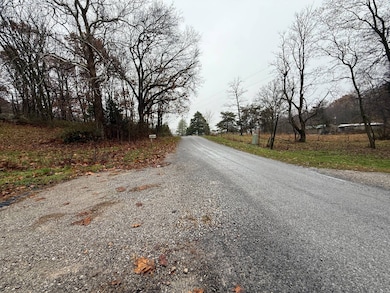 440 Hickstown Rd, Herod, IL 62947 - photo 6