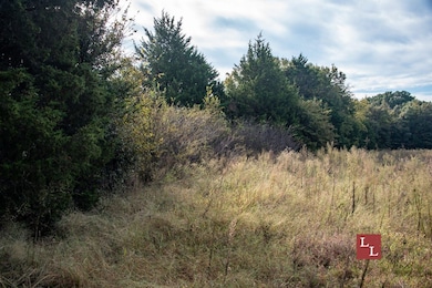 Greasy Bend Rd, Mannsville, OK 73447 - photo 5