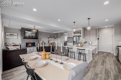 6654 Backcountry Loop, Colorado Springs, CO 80927 - photo 7