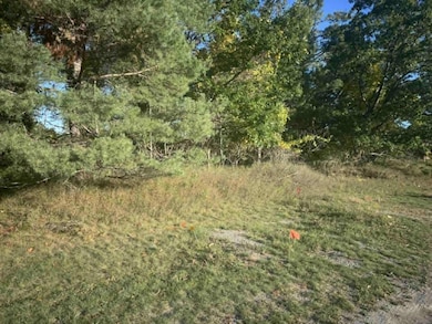 109 Arbor Ln, Alpena, MI 49707 - photo 3