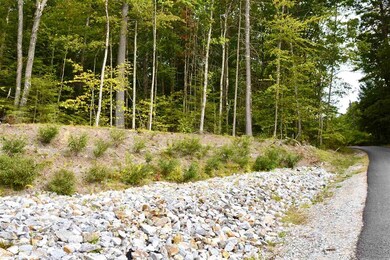 15 Riverview Dr, Franklin, NH 03235 - photo 6