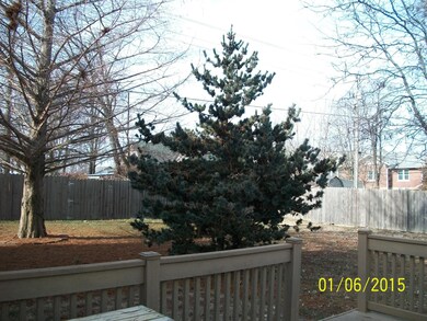 hn1983-back yard